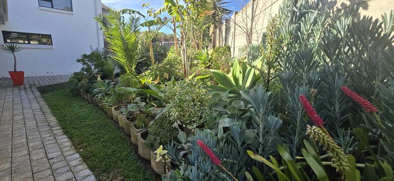 4 Bedroom Property for Sale in Tergniet Western Cape